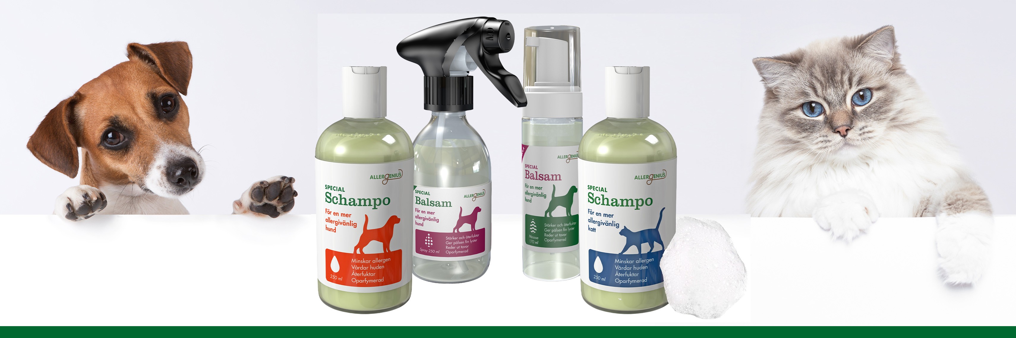 Hundur og köttur sitt hvoru megin við vöruúrval Allergenius. 