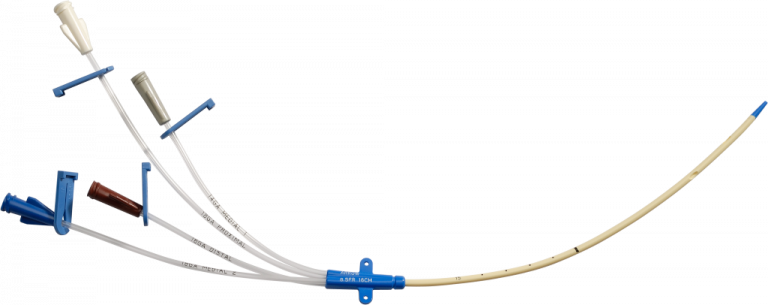 arrow endurance catheter