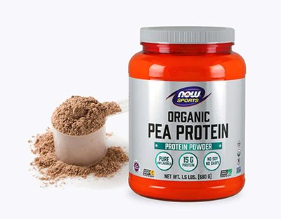Protein